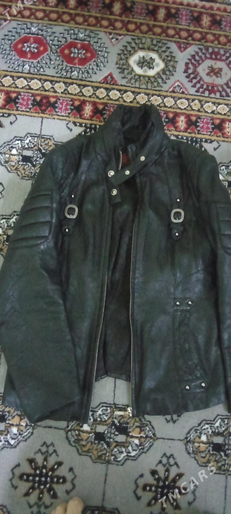 koža arassa žady - Мир 7 - img 2