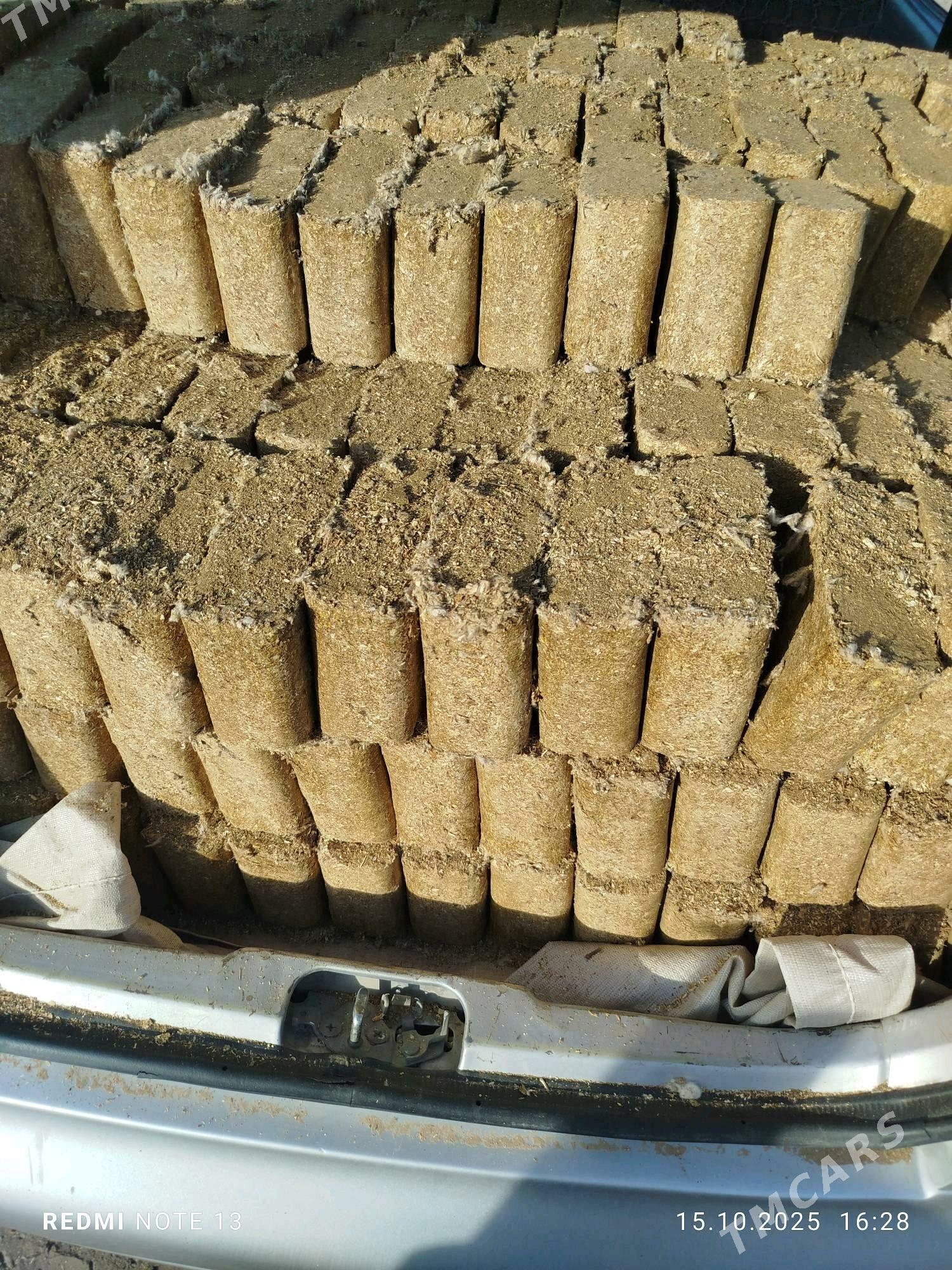 mal goyun iym - Дашогуз - img 2