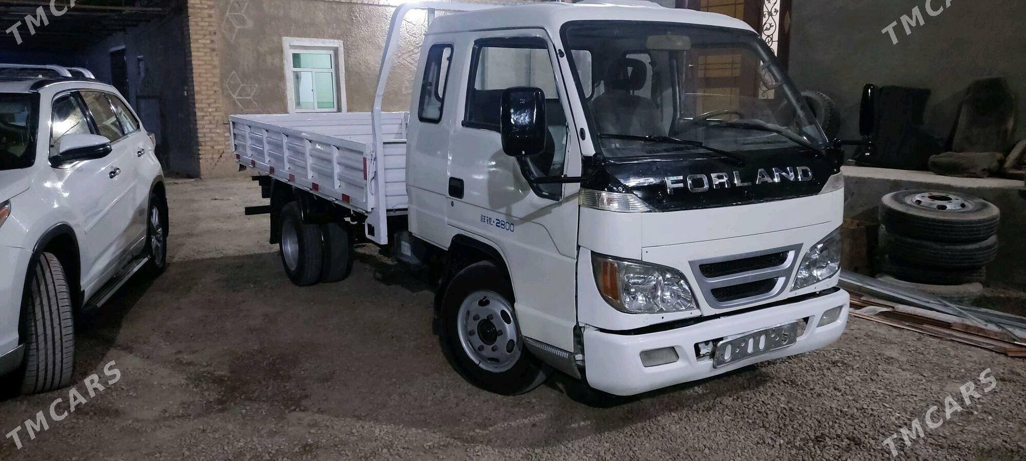 Forland H3 2009 - 83 000 TMT - Mary - img 1