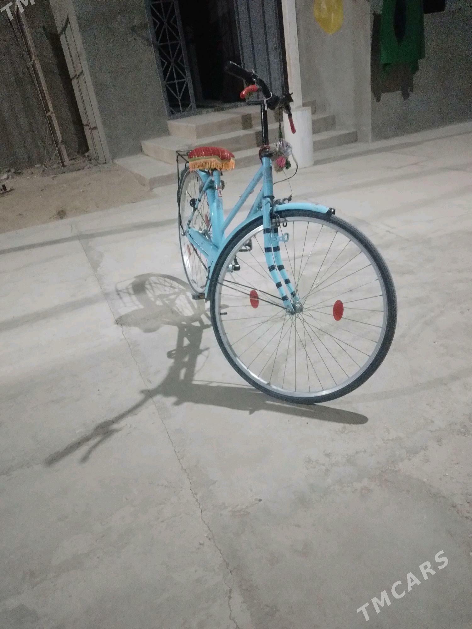 welik - Гумдаг - img 2