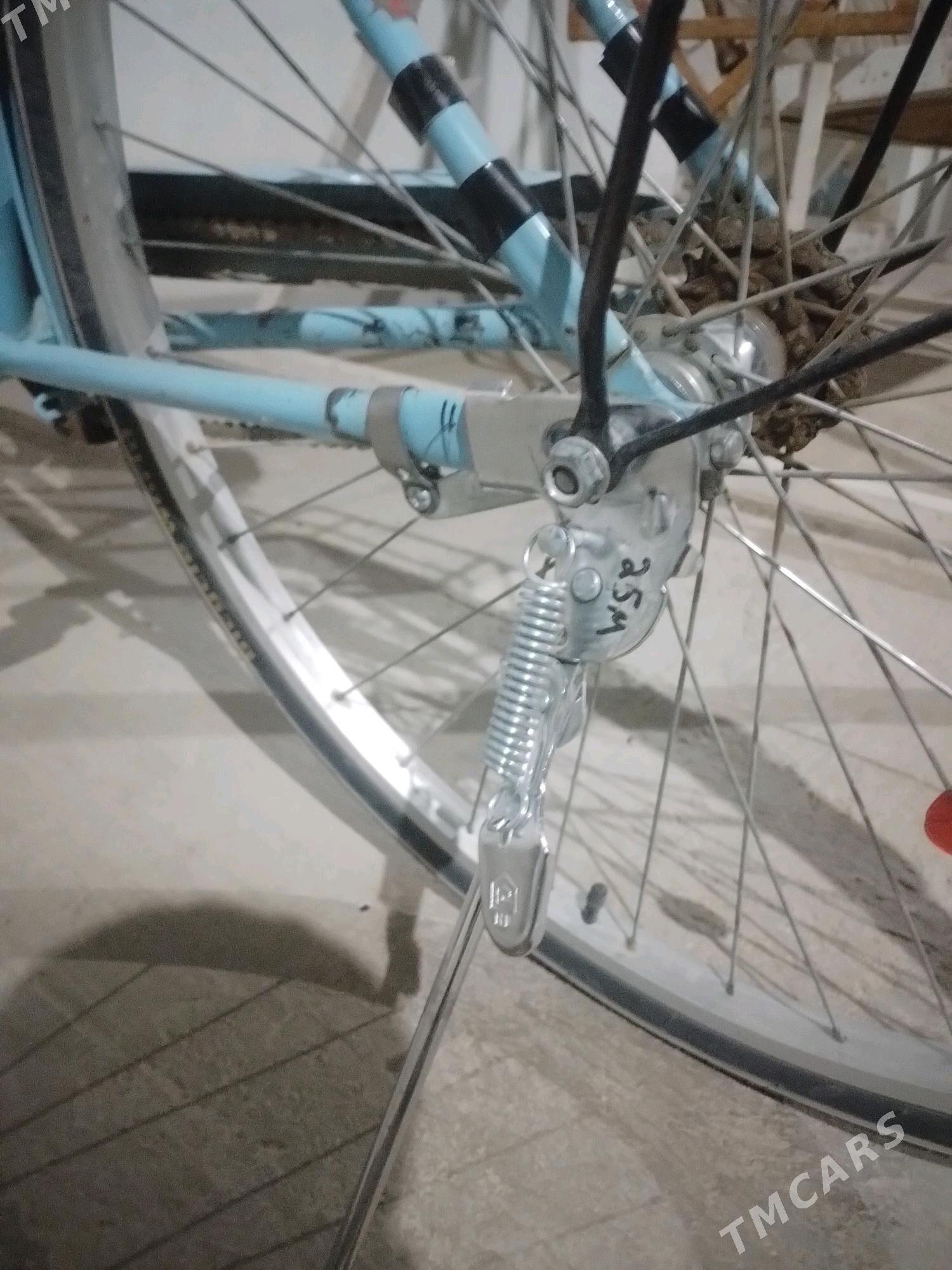 welik - Гумдаг - img 4