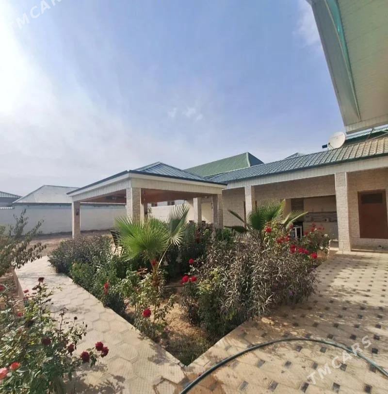 Arenda bagyr kotej - Aşgabat - img 3