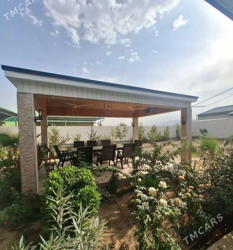 Arenda bagyr kotej - Aşgabat - img 1