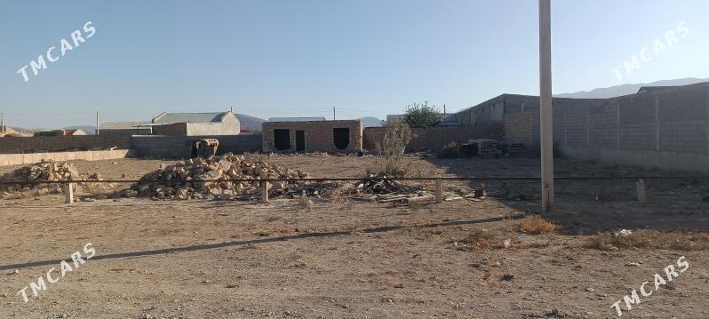 Satlyk ýer - Gyzylarbat - img 2