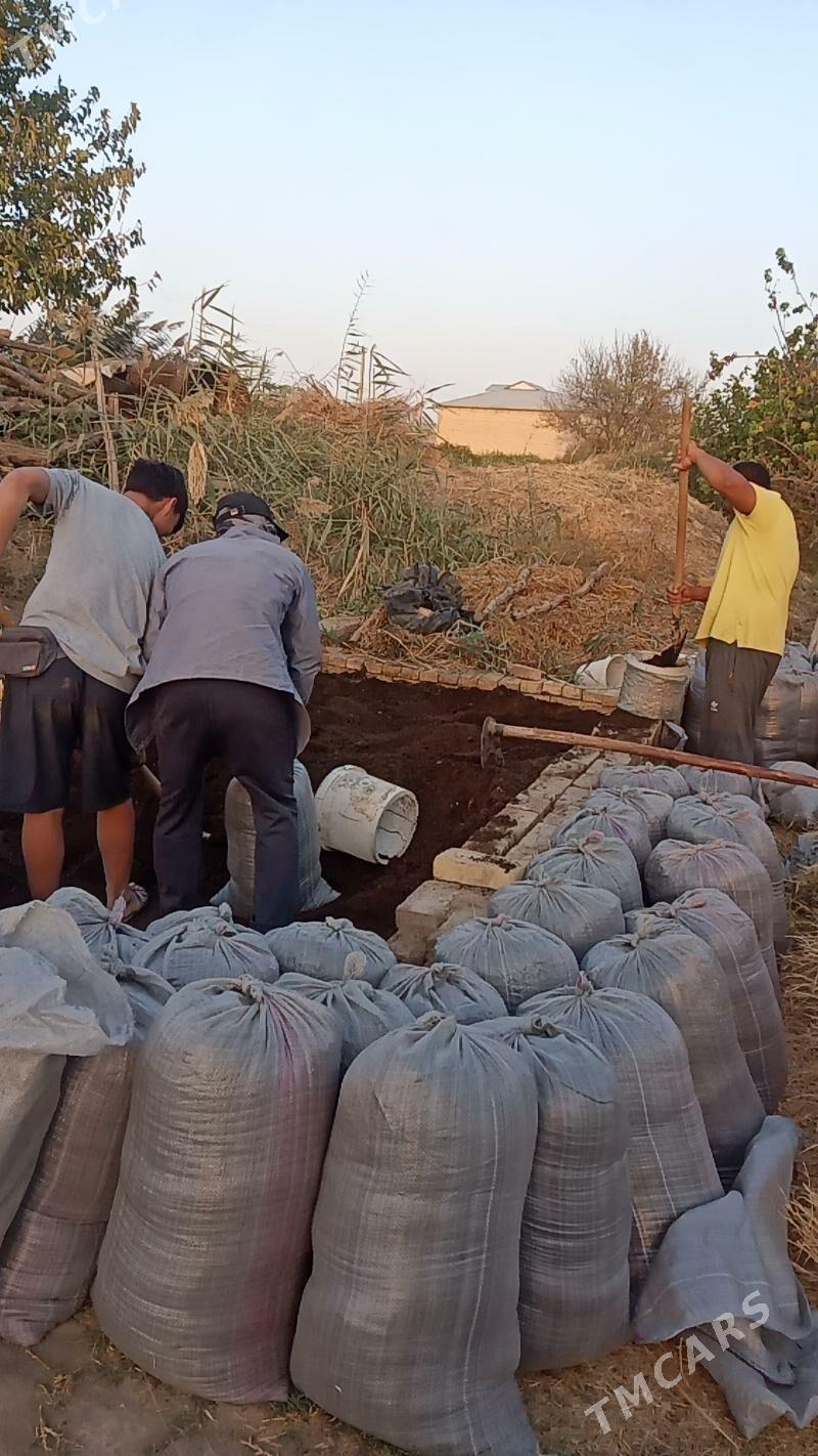 Biogumus Биогумус - Фарап - img 4