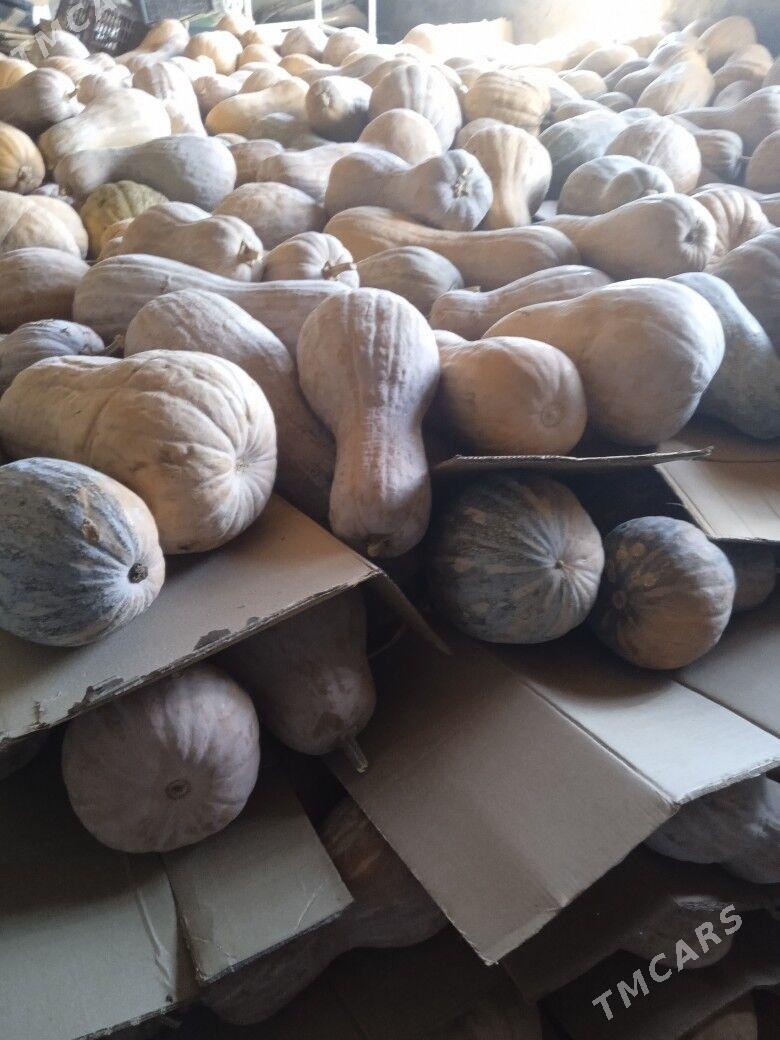 kadi - Серахс - img 3