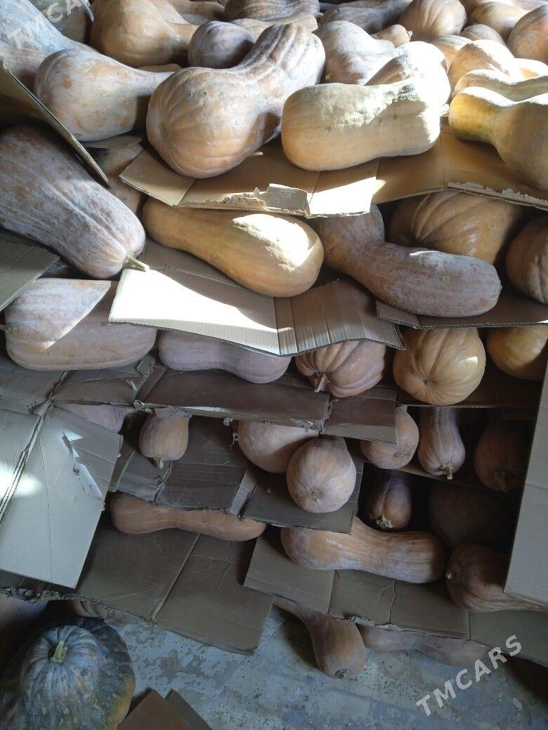 kadi - Серахс - img 4