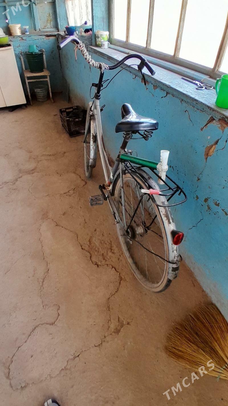 Tigir 26 - Sarahs - img 4