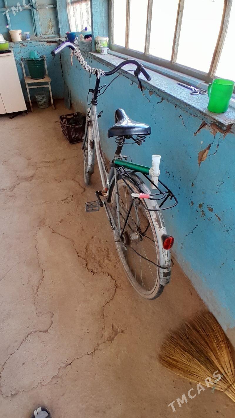 Tigir 26 - Sarahs - img 3