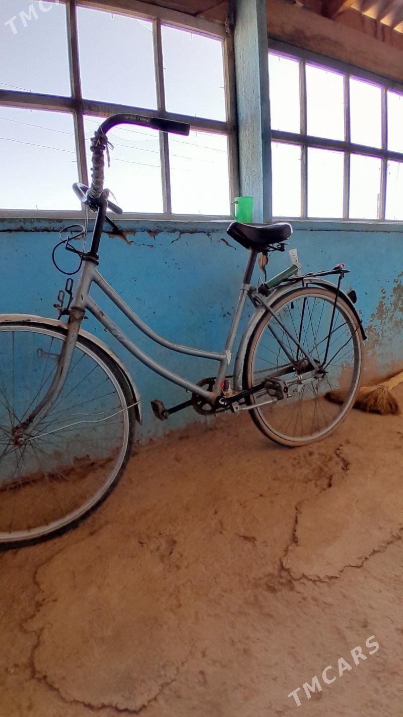 Tigir 26 - Sarahs - img 2