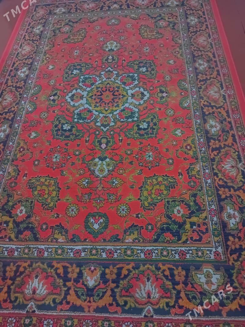 büzmeyin halylar - Gubadag - img 4