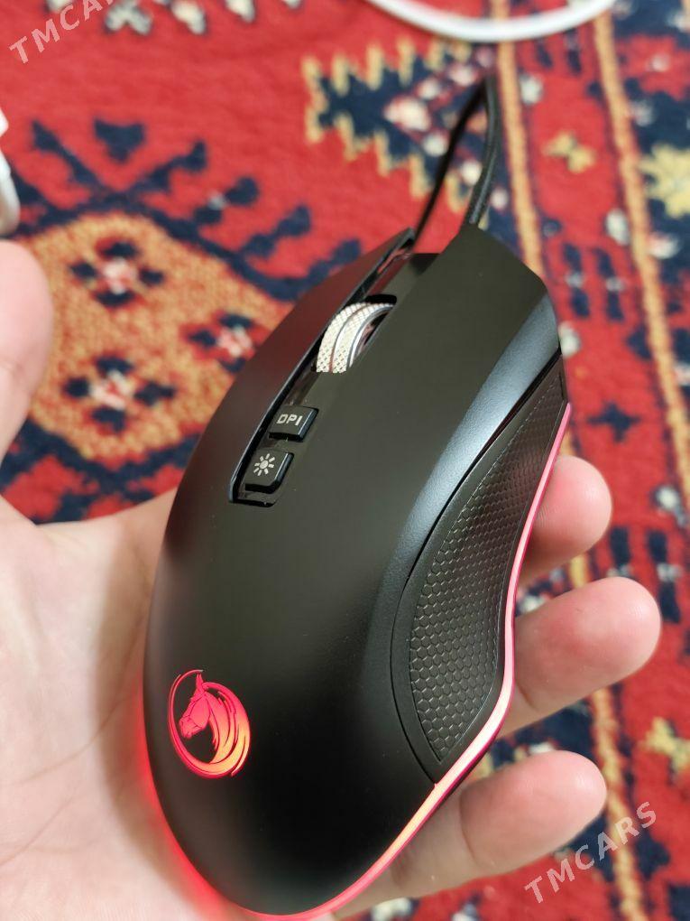 Mişka syçanjyk - Ашхабад - img 5