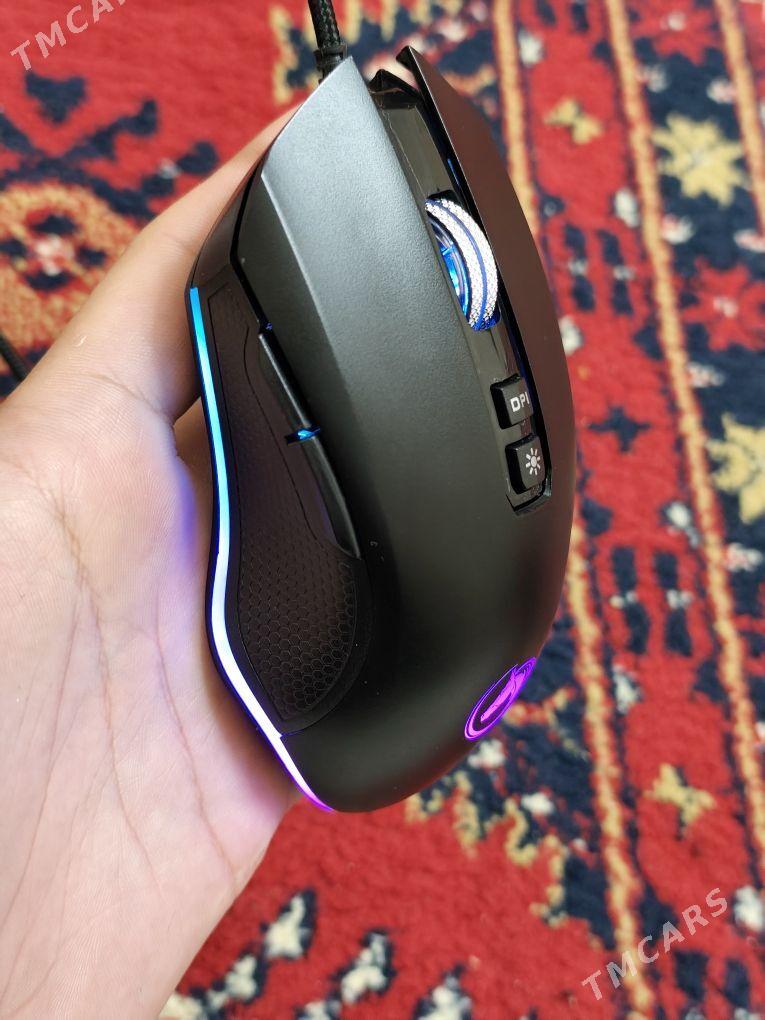 Mişka syçanjyk - Ашхабад - img 3