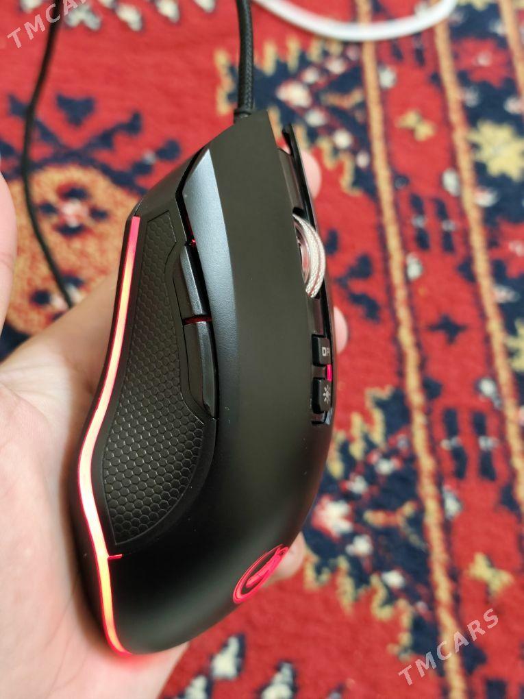 Mişka syçanjyk - Ашхабад - img 4