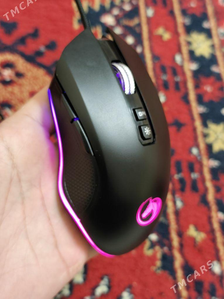 Mişka syçanjyk - Ашхабад - img 2