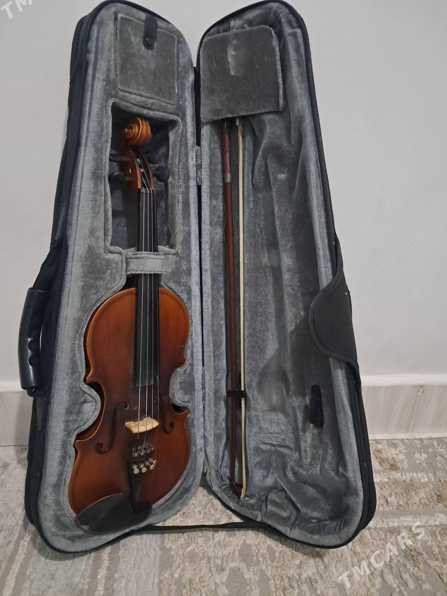 Skripka saz gyraly - Аркадаг - img 2