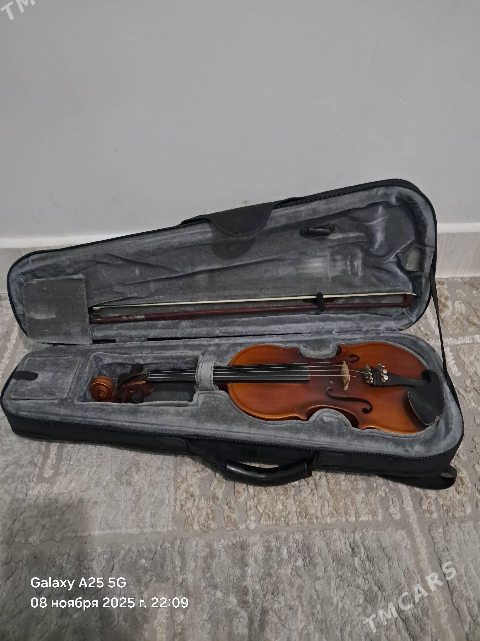 Skripka saz gyraly - Аркадаг - img 3