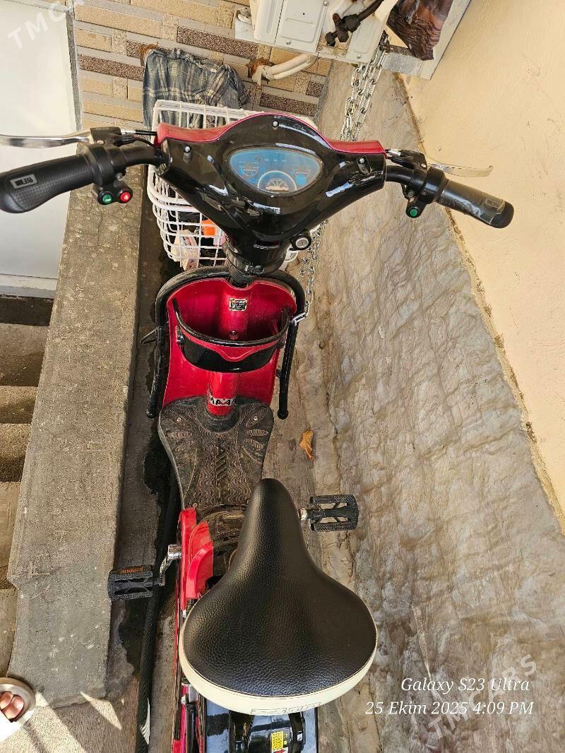 Mator tokly - Howdan "W" - img 4