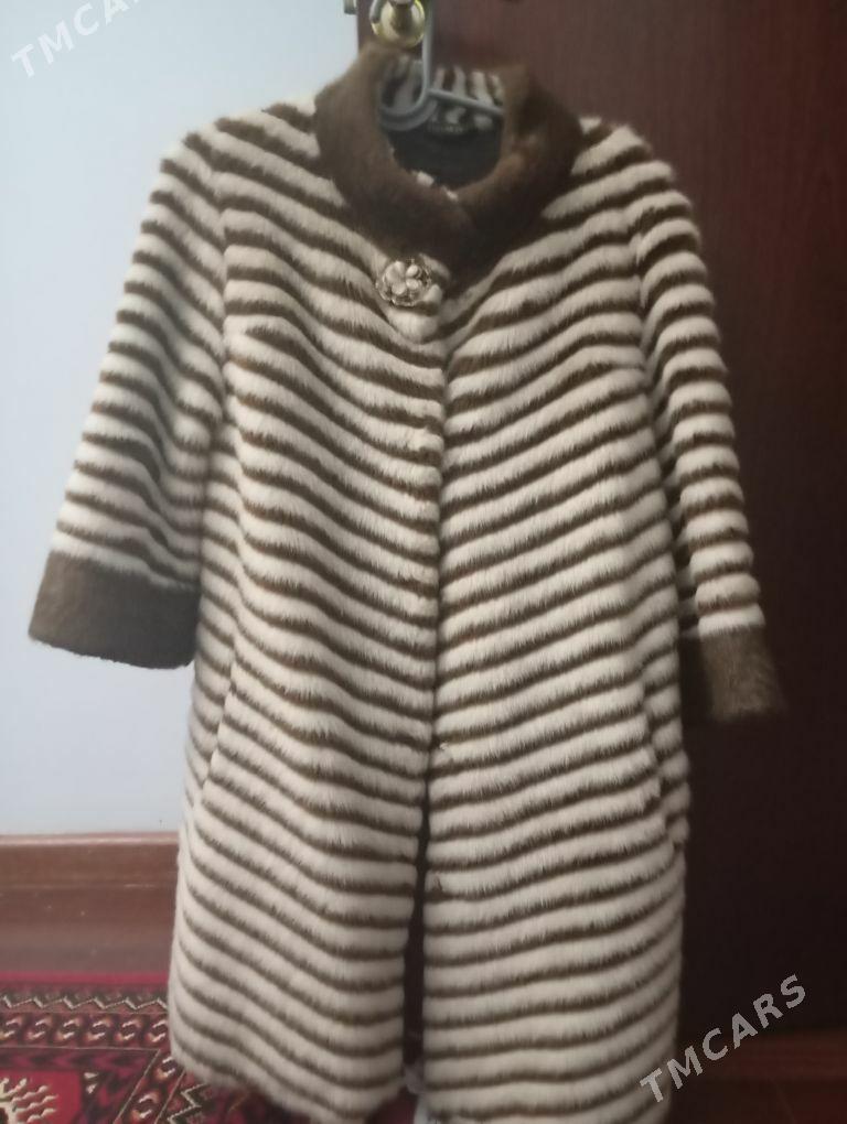 Şuba kowis - Ашхабад - img 3