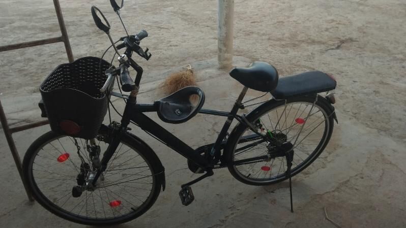 𝗦𝗮𝘁𝗹𝘆𝗸 𝘁𝗮𝘇𝗲𝗷𝗲 - Ýolöten - img 12