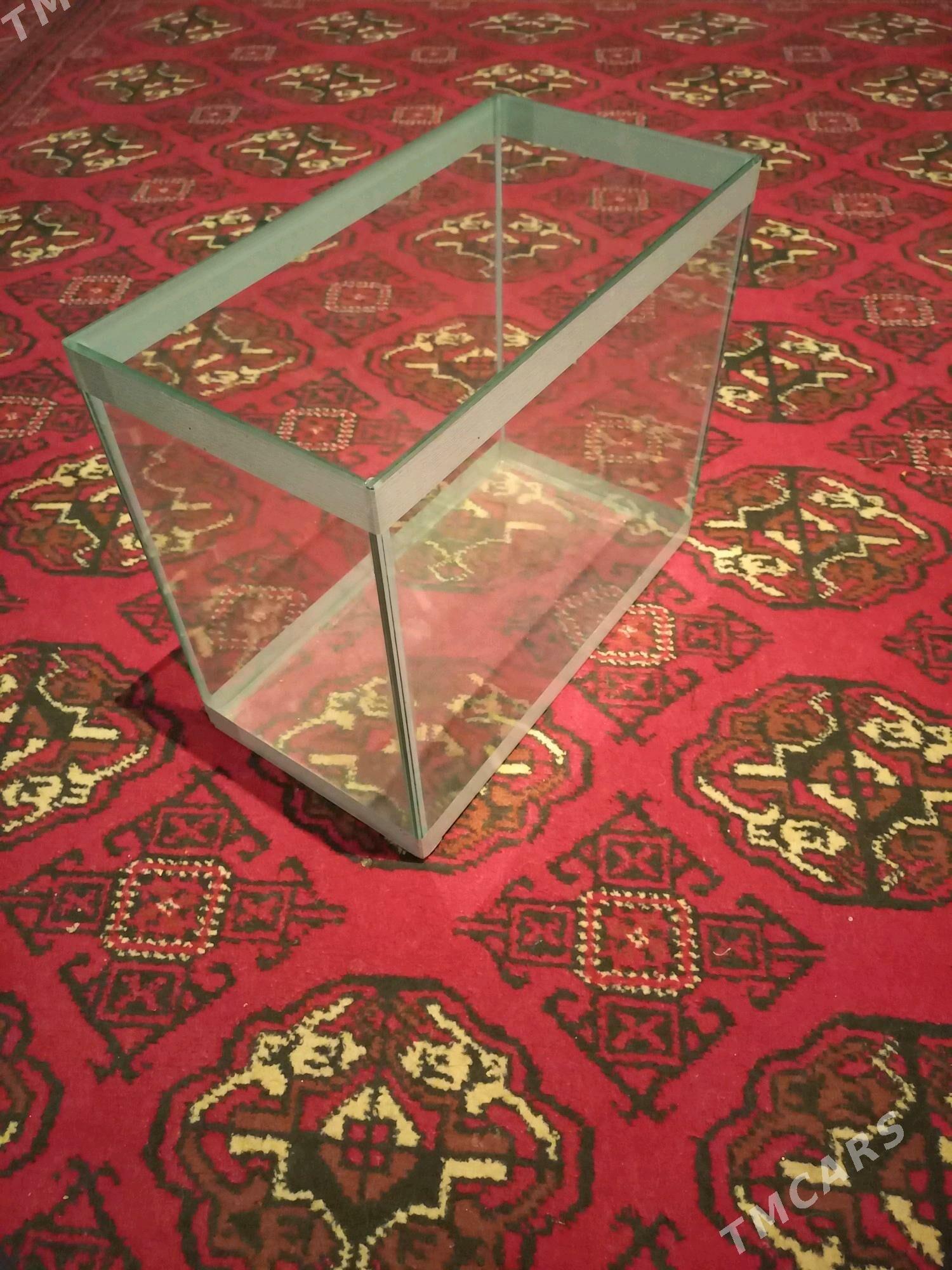 Akwaryn - Ак-Бугдайский этрап - img 2