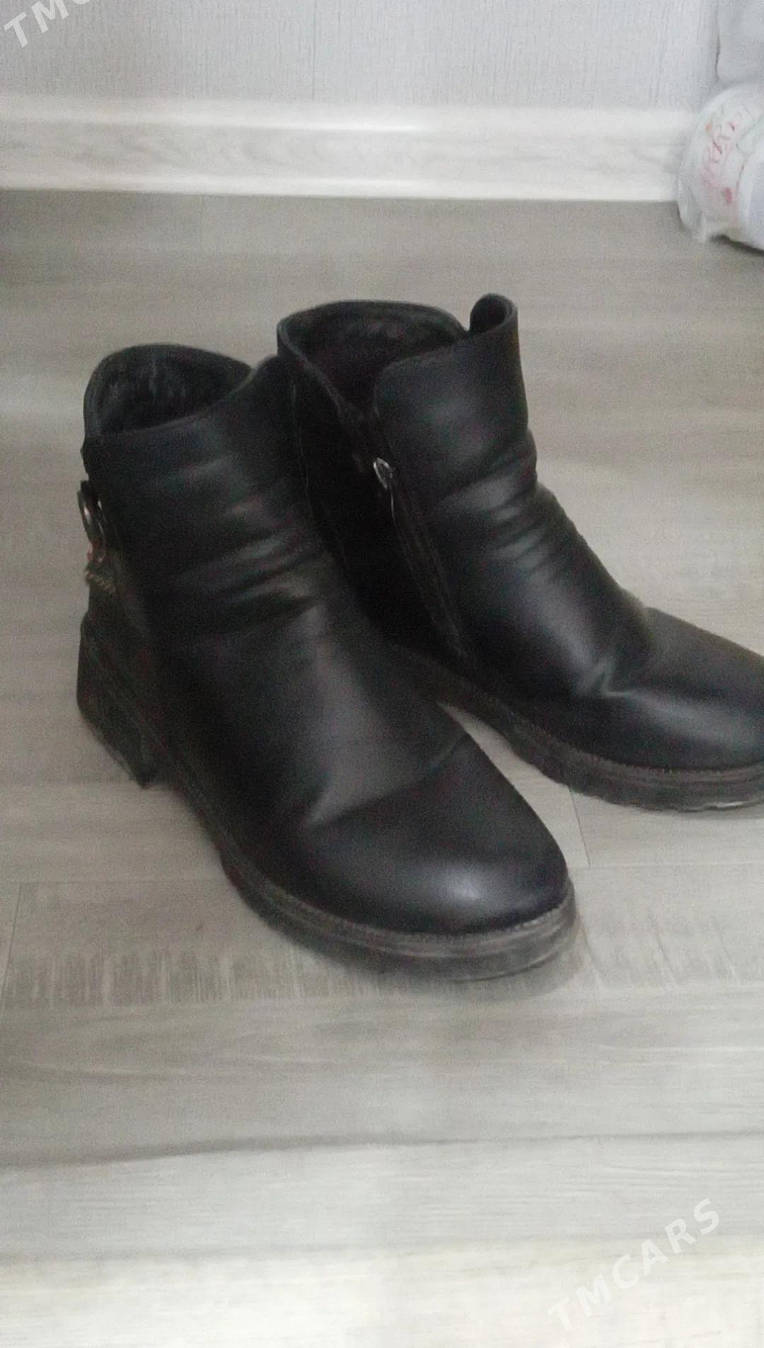 Adik kemi yok - Туркменабат - img 2