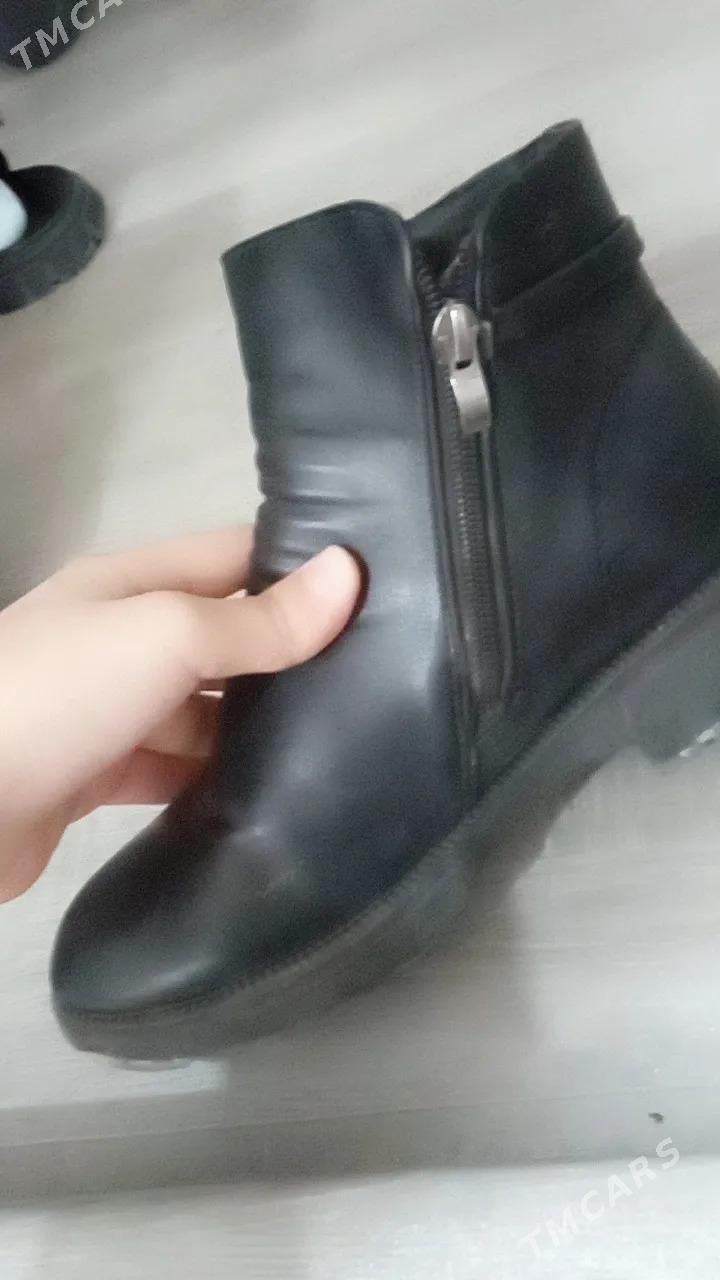 Adik kemi yok - Туркменабат - img 4