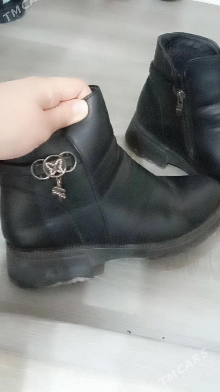 Adik kemi yok - Туркменабат - img 3