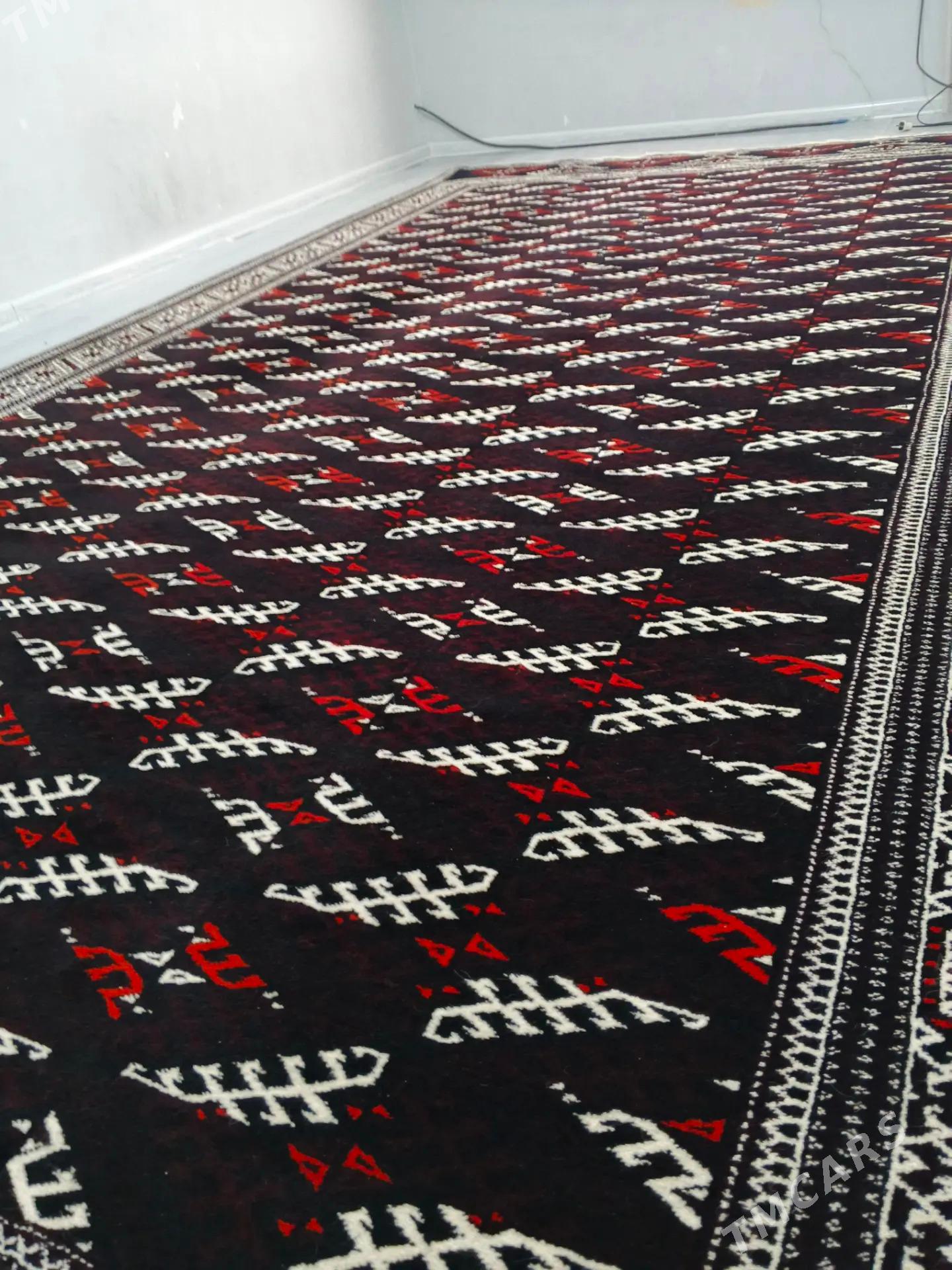 haly - Балканабат - img 4