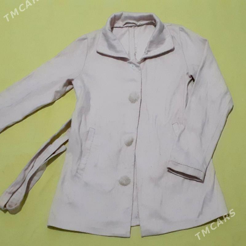 kurtga - Daşoguz - img 10