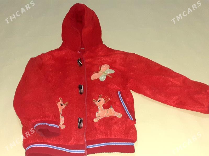 kurtga - Daşoguz - img 6