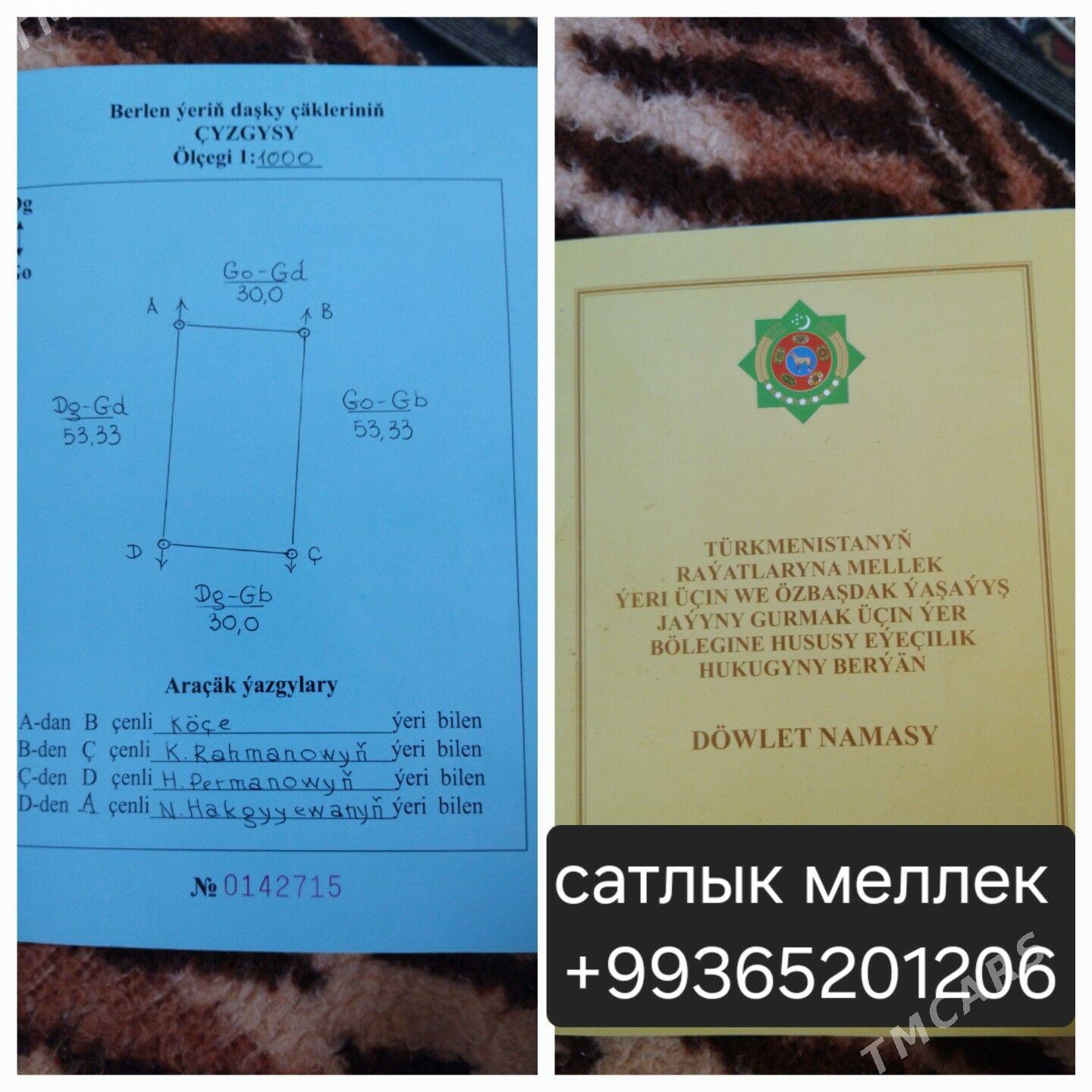 маллак Taza Ayraport - Çärjew - img 3