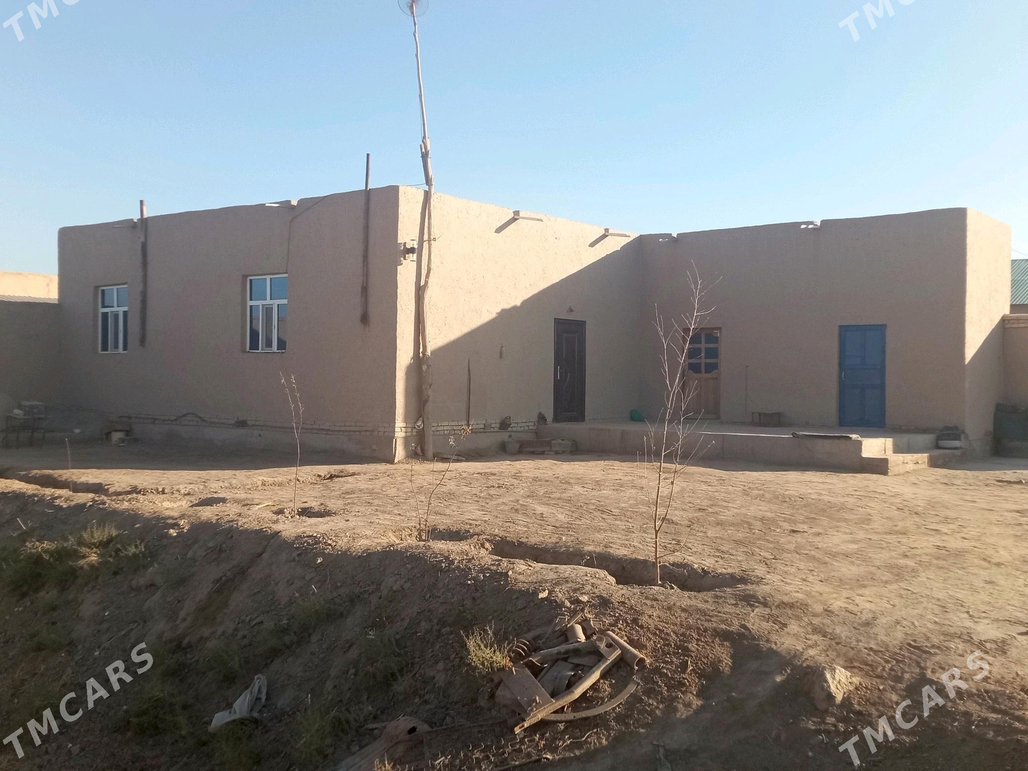 Satlyk jay - Türkmenbaşy etr. - img 5