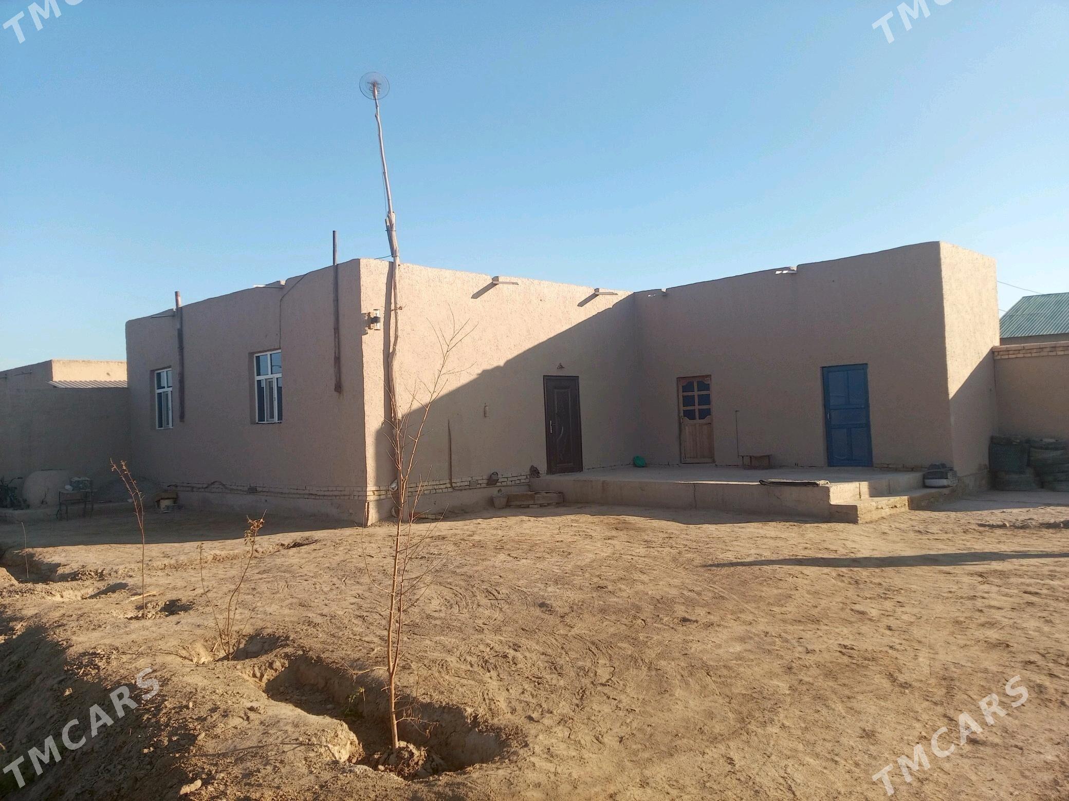 Satlyk jay - Türkmenbaşy etr. - img 3