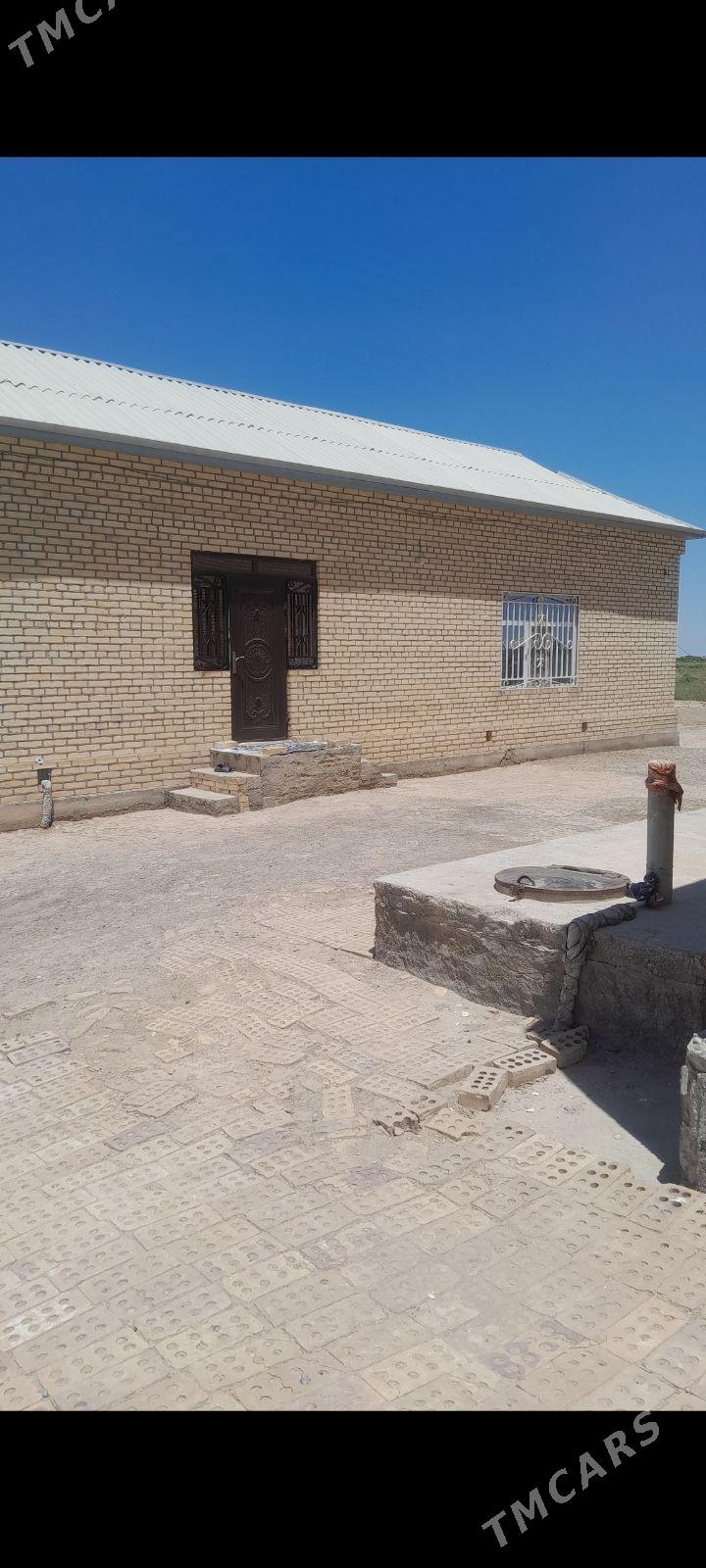 WREMYAMKA PYLAN - Векильбазар - img 6