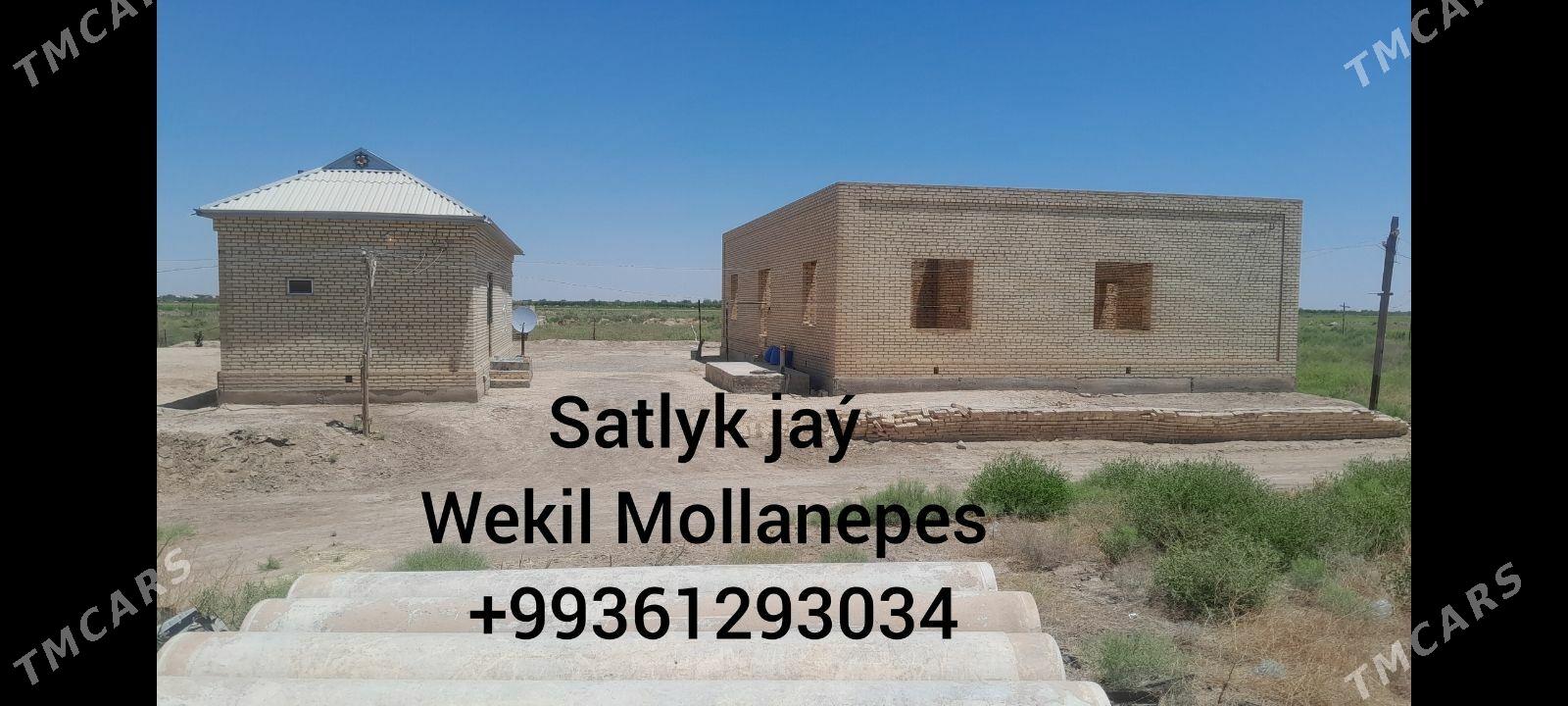 WREMYAMKA PYLAN - Векильбазар - img 7