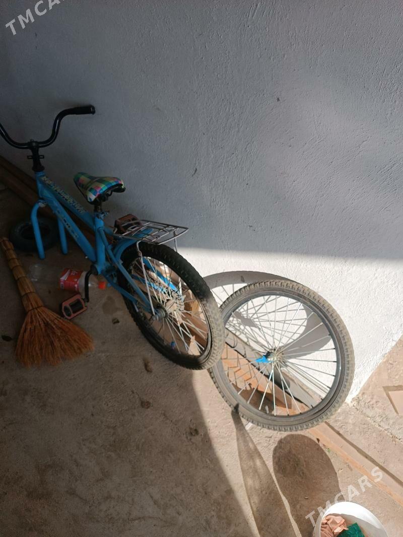 tigir - Balkanabat - img 1