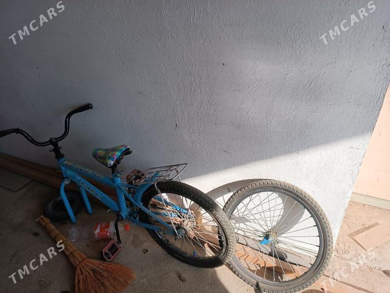 tigir - Balkanabat - img 2