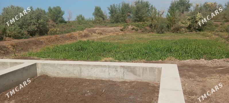 Mellek yer - Boldumsaz - img 2