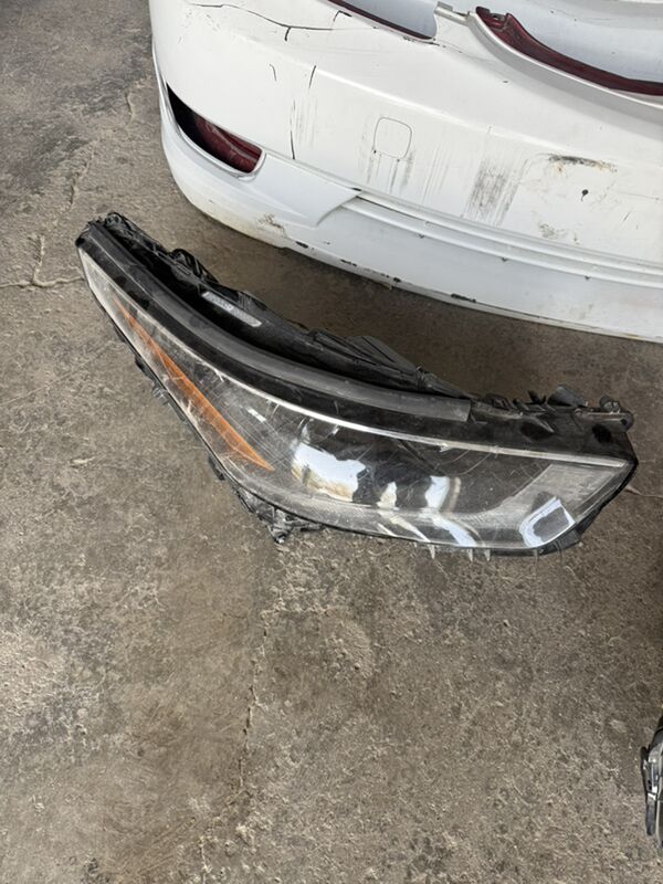 haylander 2022 3 000 TMT - Mary - img 2