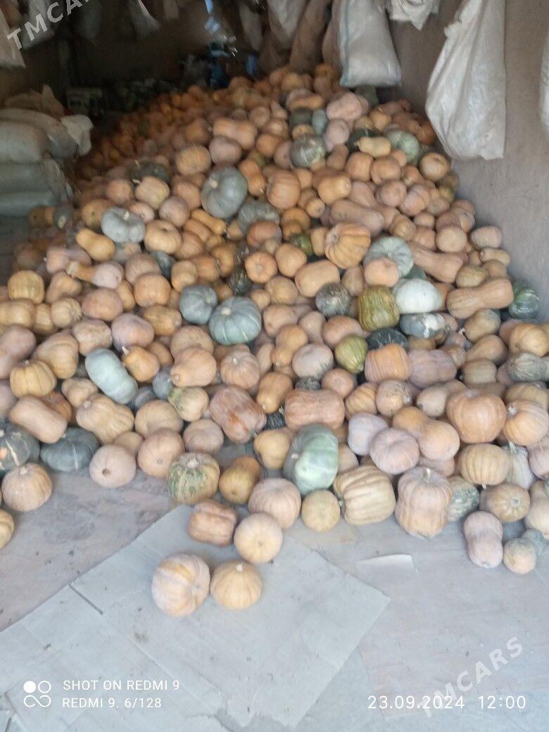 satlyk KADI bar - Гурбансолтан Едже - img 1