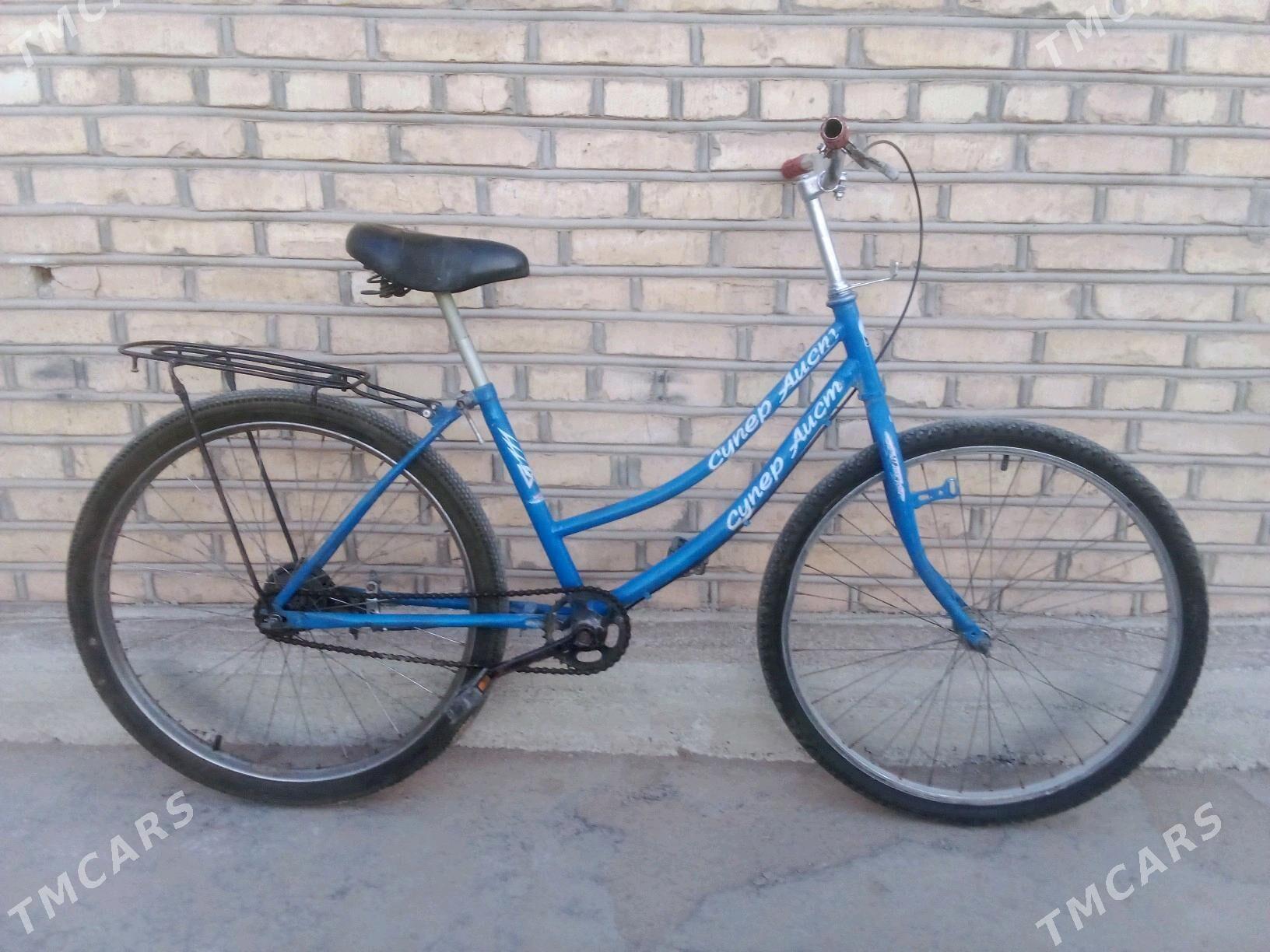 Tigir 26lyk - Mary - img 2