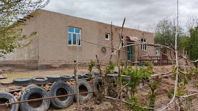 satly jay - Ruhubelent etraby - img 8