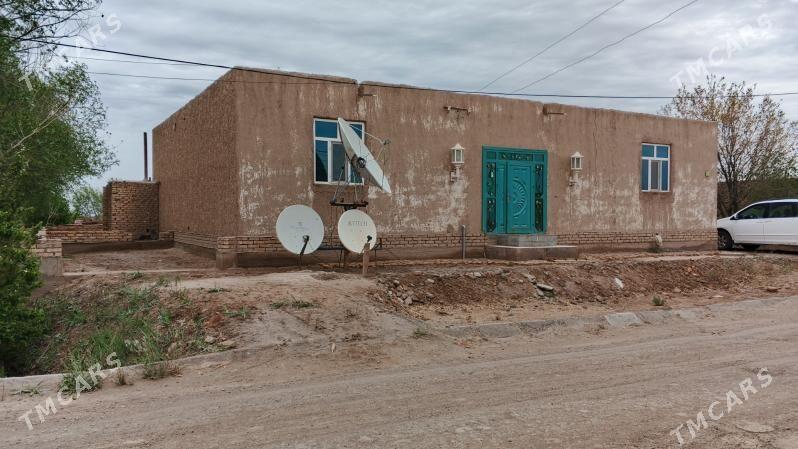 satly jay - Ruhubelent etraby - img 7