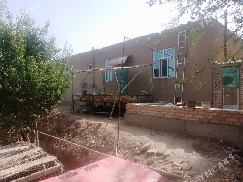 satly jay - Ruhubelent etraby - img 3