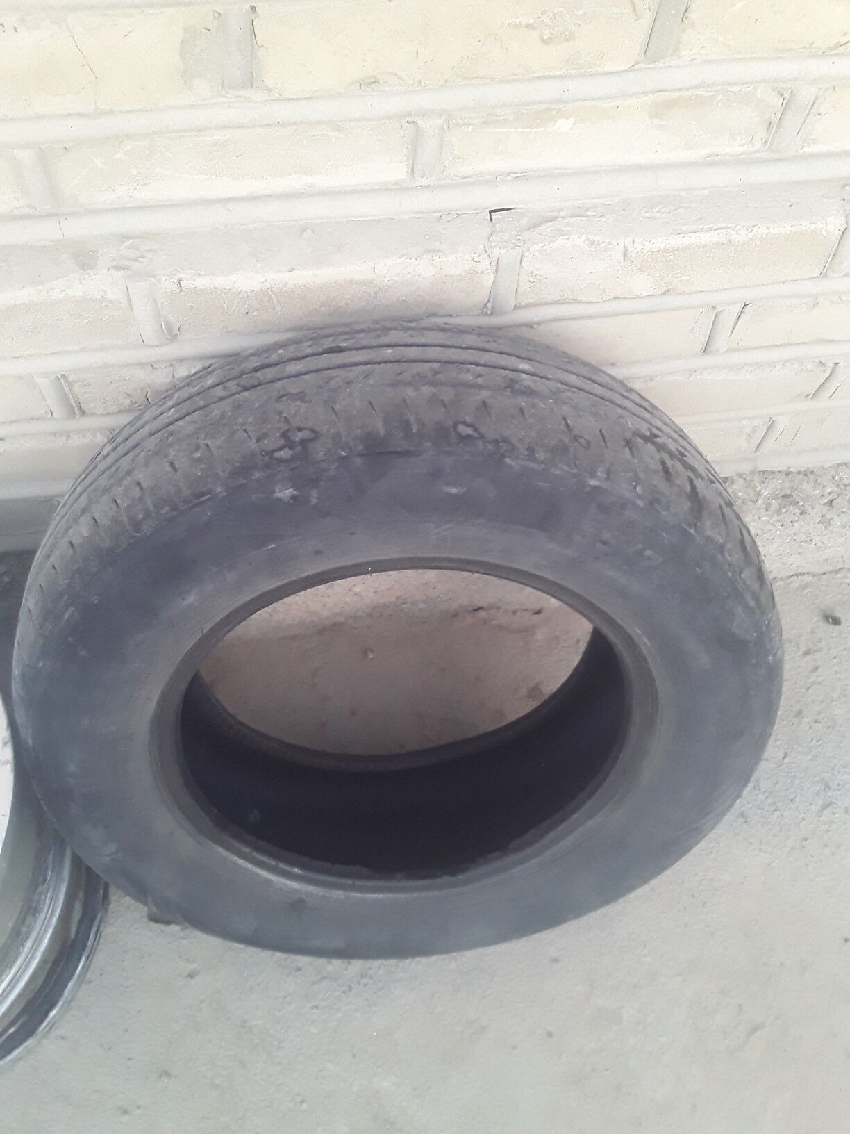 tigir 800 TMT - Mary - img 3