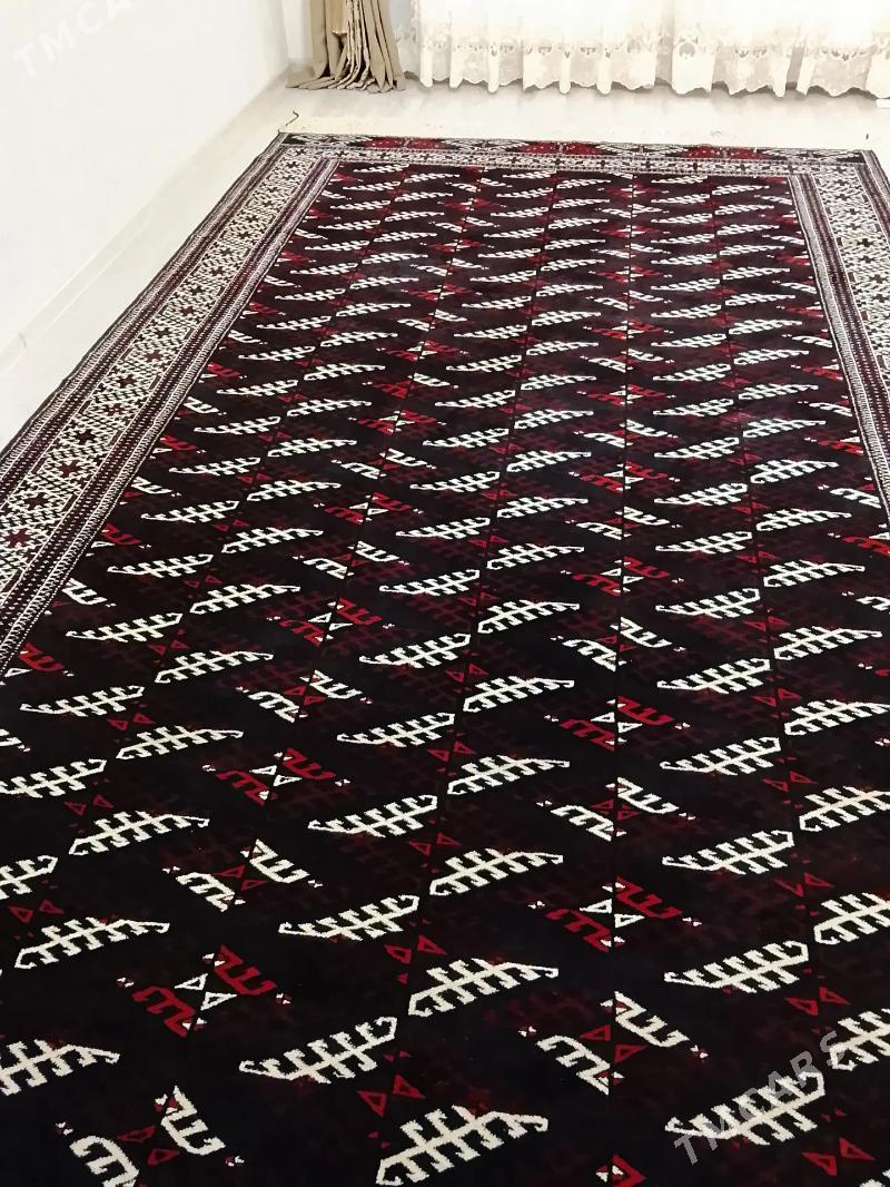 Haly - Balkanabat - img 2