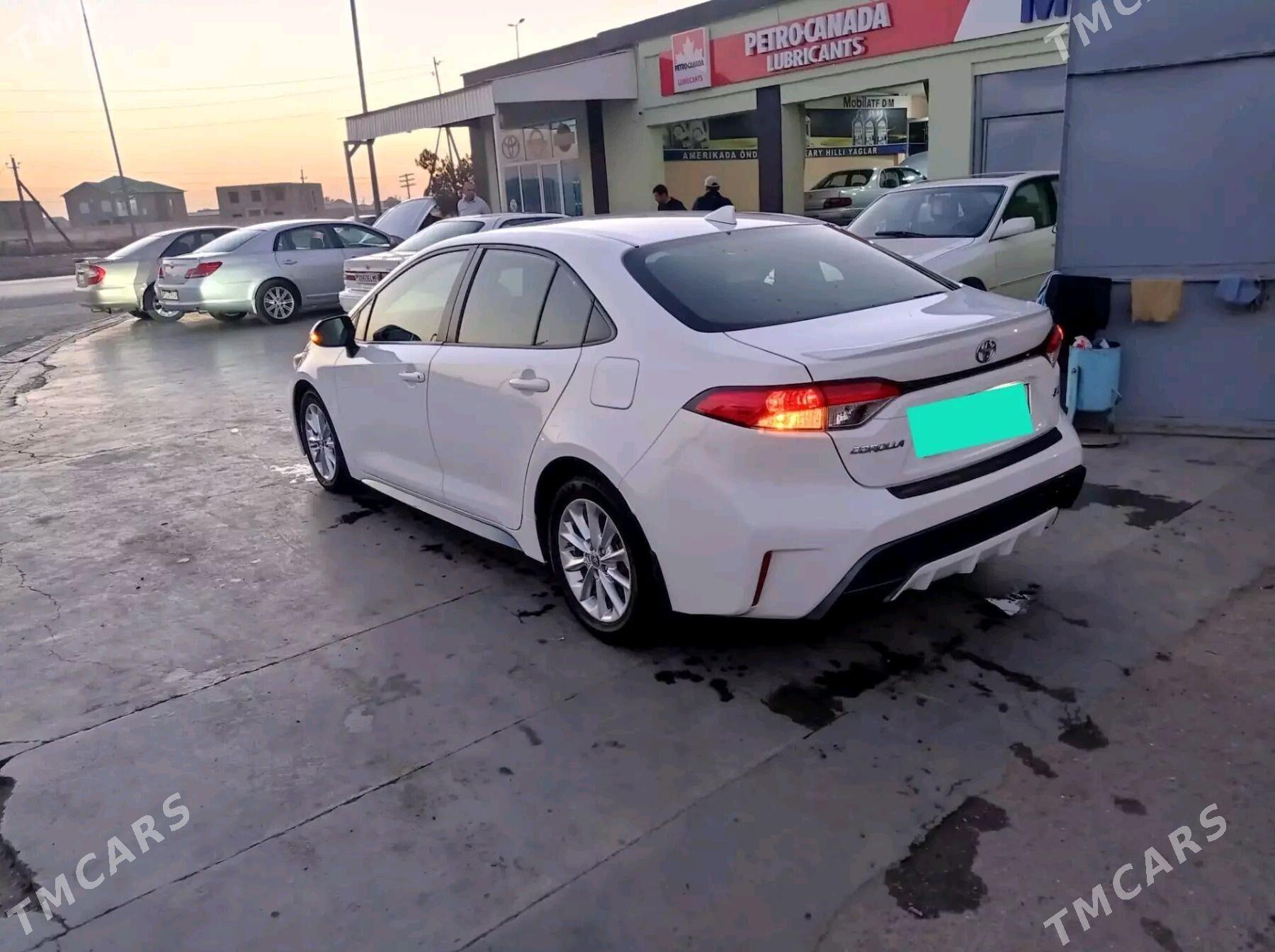 Toyota Corolla 2020 - 250 000 TMT - Mary - img 2