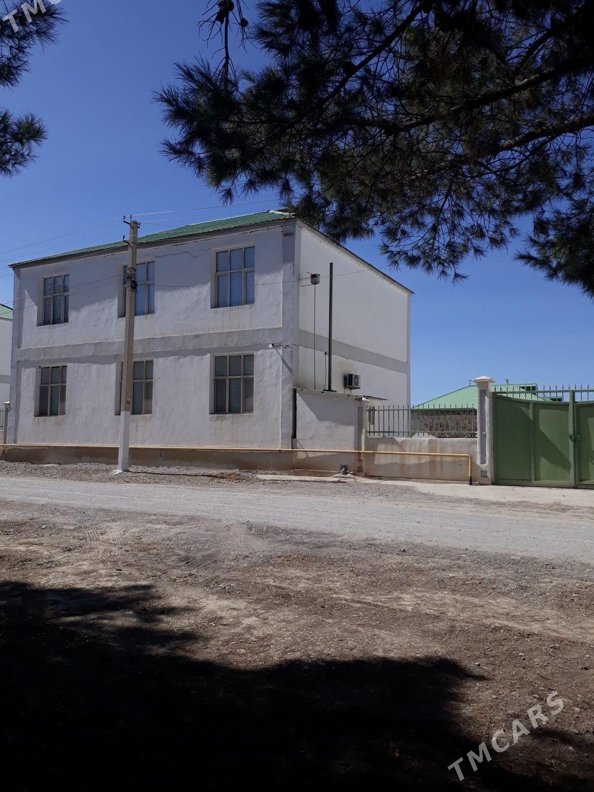 GÖKDEPE SATLYK KATEŽ - Gökdepe - img 3