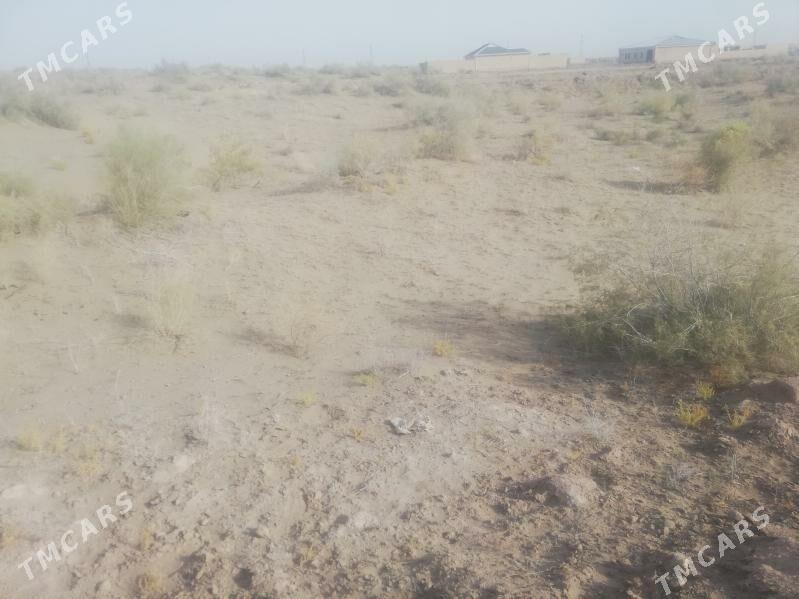 Farapda satlyk bos mellek 10 S - Farap - img 2